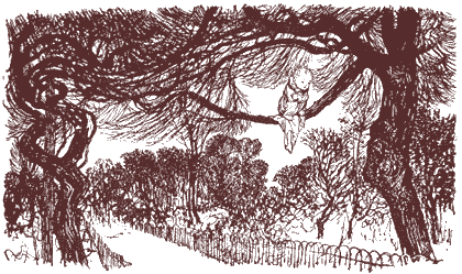 Le Avventure di Peter Pan