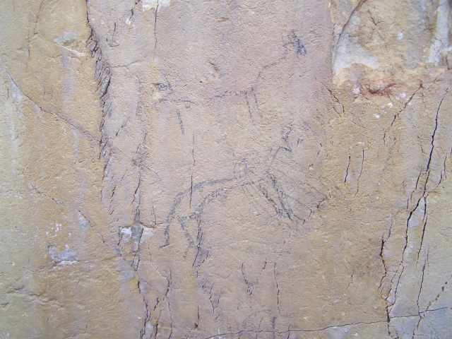 I disegni dei tre cervi